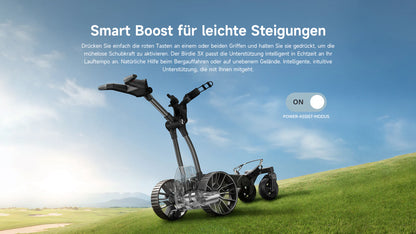 NAVEE Elektro Golftrolley Birdie 3, schwarz